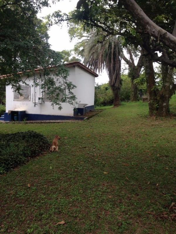 Fazenda à venda com 4 quartos, 240m² - Foto 12