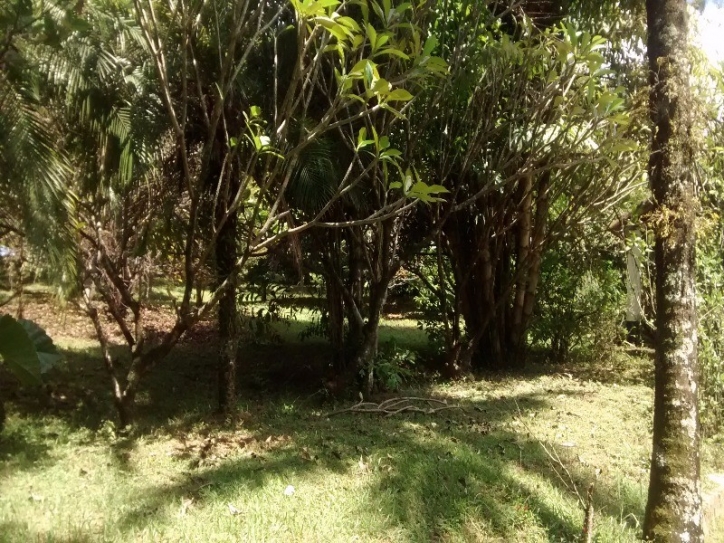 Fazenda à venda com 4 quartos, 240m² - Foto 18