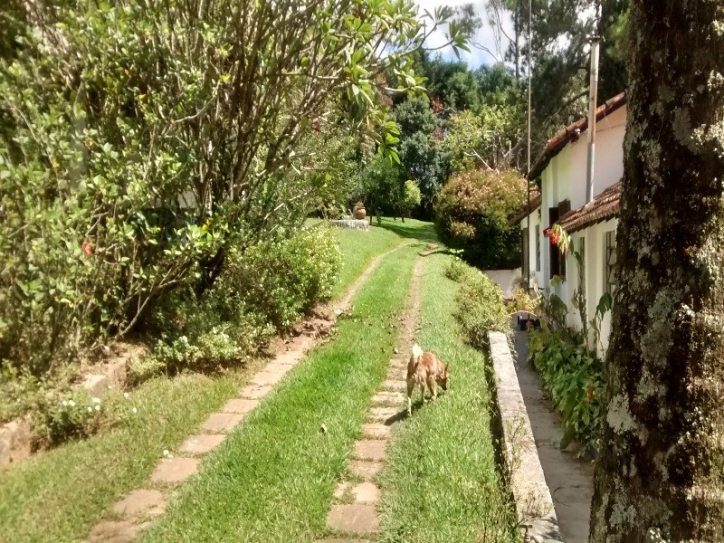 Fazenda à venda com 4 quartos, 240m² - Foto 19